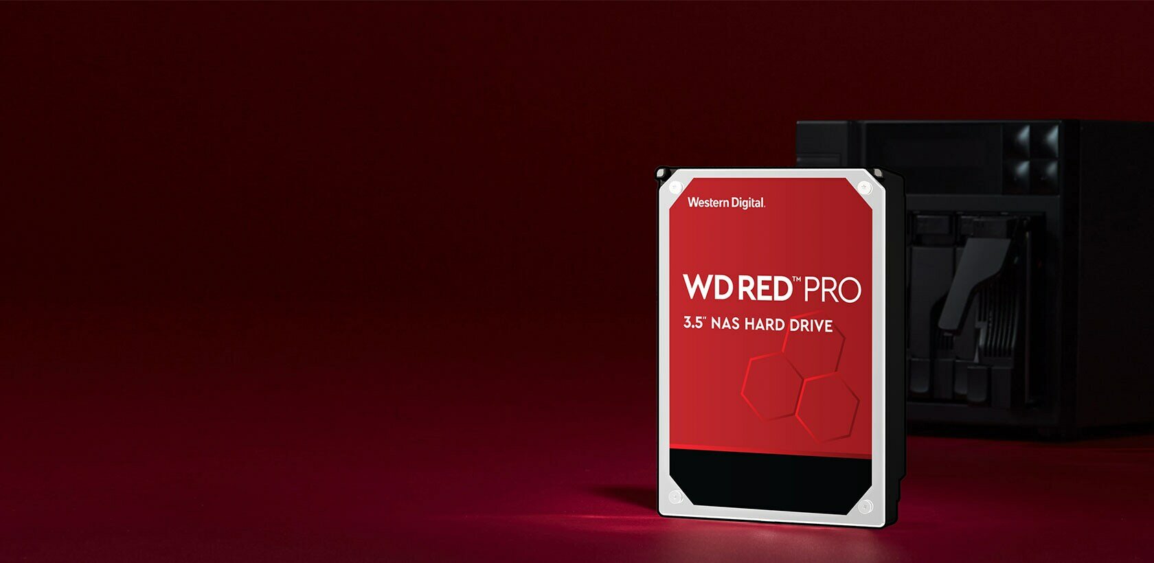 WD 101 KFBX Western Digital Red 10TB Pro SATA III 3.5" NAS Disco rigido interno 