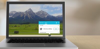 WD quality inside and out