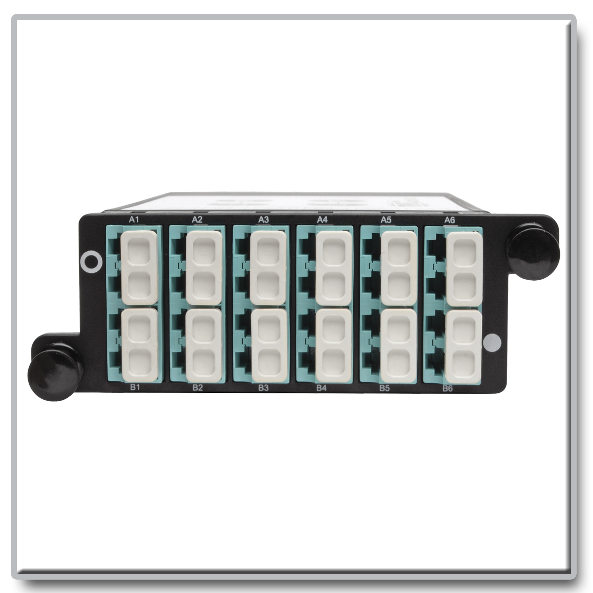 Tripp Lite 12-Fiber Patch Panel 2 MTP/MPO to 12 LC 10Gb Breakout ...
