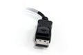 folie 3 von 3, vergrößern, schließen sie einen dvi-monitor an einen einzelnen displayport-ausgang ihres computers an