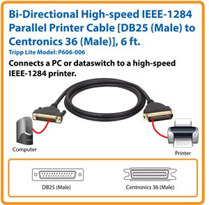 Tripp Lite P606-006 IEEE 1284 AB Parallel Printer Cable (DB25 To
