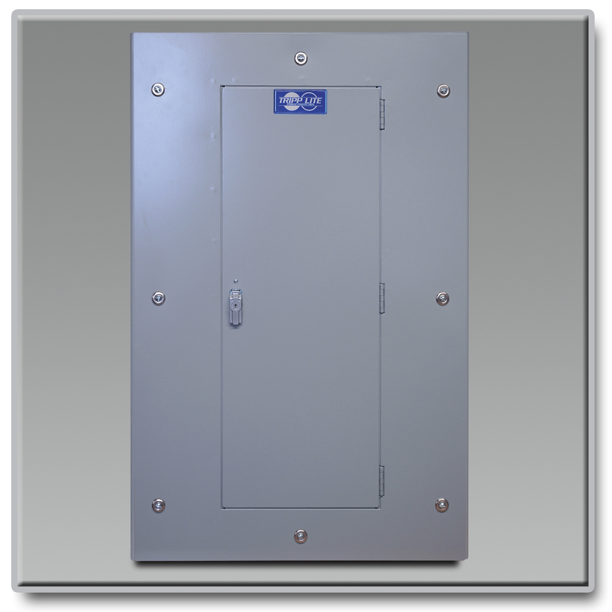 Tripp Lite Wall Mount Kirk Key Bypass Panel 240V for 40kVA 3Phase UPS bypass switch with