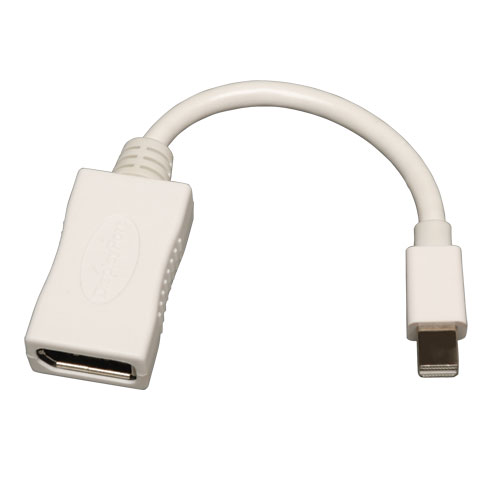 Tripp Lite Mini DisplayPort to DisplayPort Adapter Converter Video Cable  mDP to DP M/F - DisplayPort adapter - 6 in