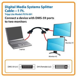 Split the Video Signal from One DMS Port for Display on DVI Monitors