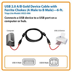 Tripp Lite 6ft USB Cable Hi-Speed Gold Shielded USB 2.0 A/B Male / Male 6'  - USB cable - USB to USB Type B - 6 ft - U022-006 - USB Cables 