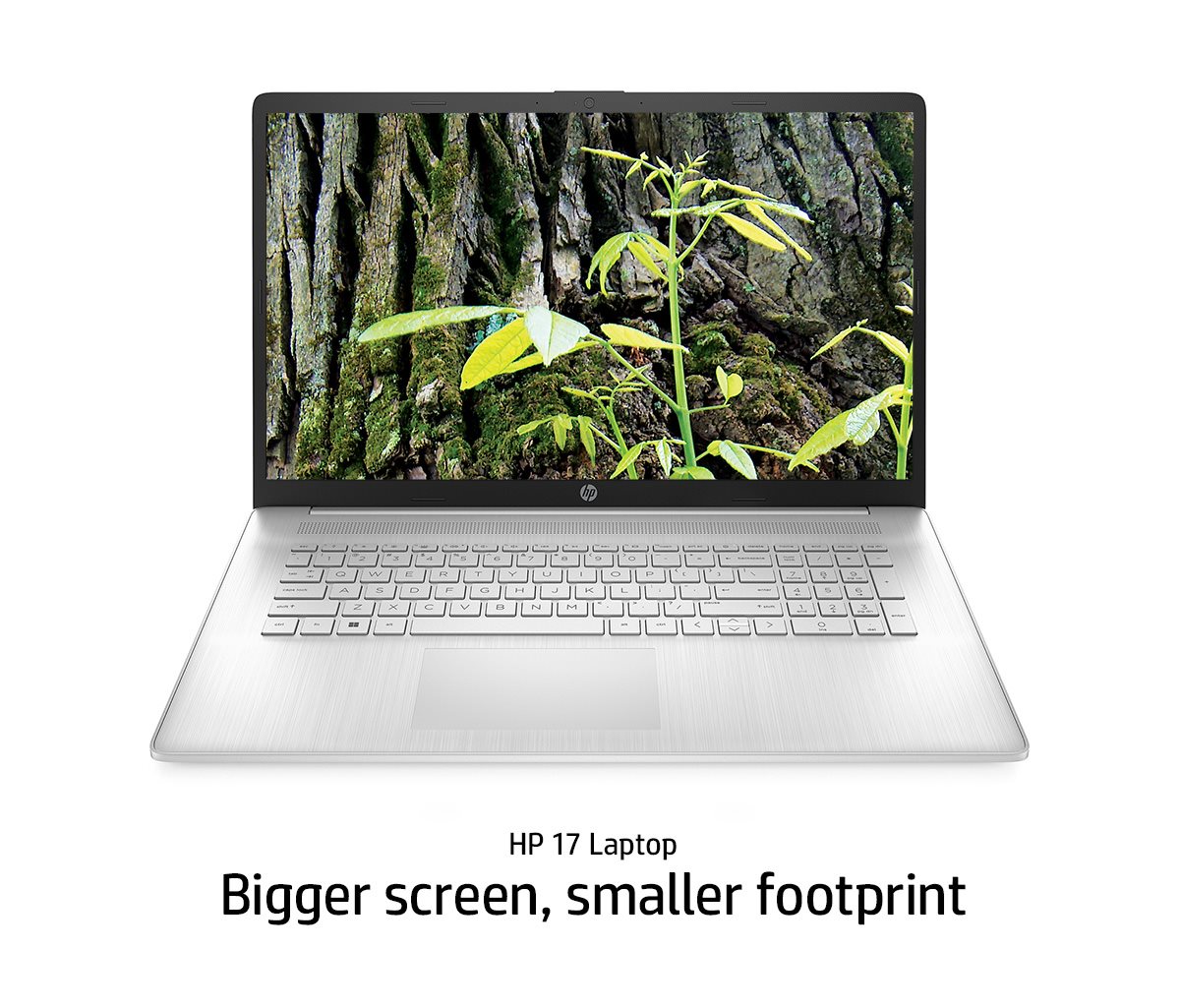 HP - 17.3
