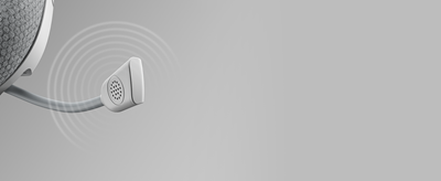 Noise-Cancelling Microphone