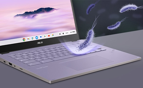 Asus Chromebook CM34 Flip CM3401FFA-DS31T-CB PC-Canada