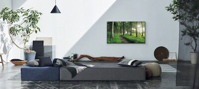 Living Decor