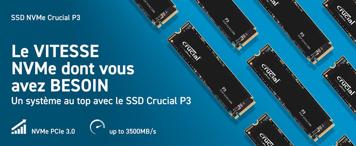Crucial - Disque SSD P3 - CT1000P3SSD8 - 1To - SSD Interne - Rue