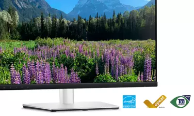 Image des Produktes