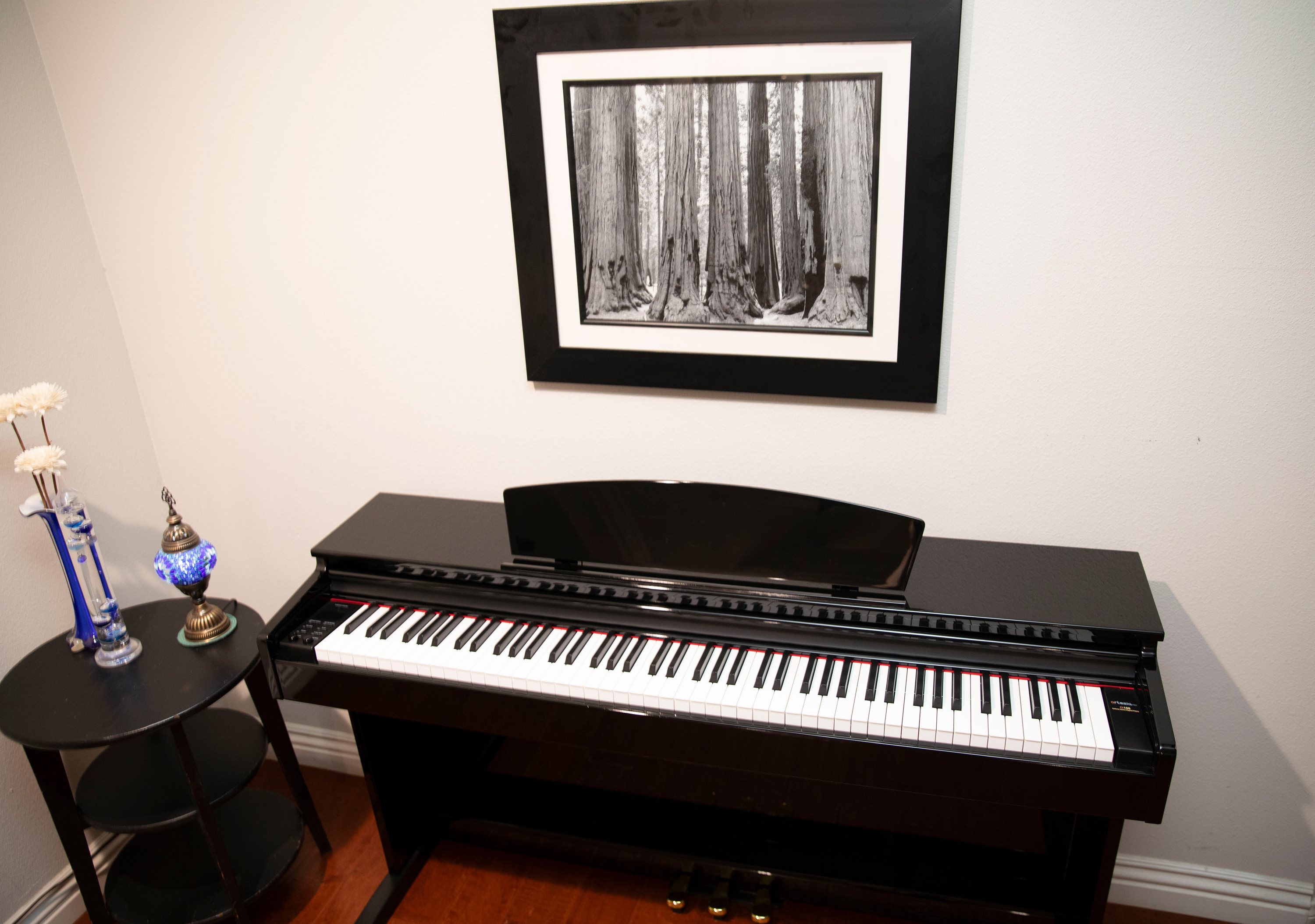 Artesia Pro A100 High Gloss Ebony Digital Piano | Costco