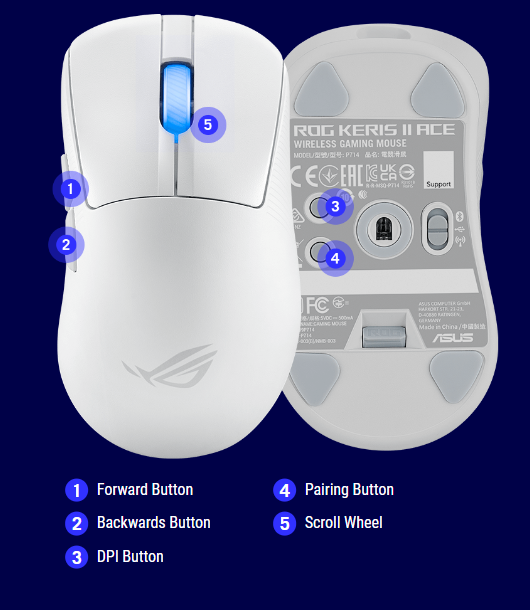 Image of the ROG Keris II Ace shot from the bottom
