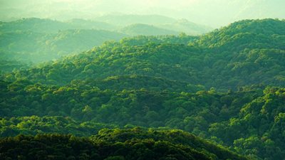 Sustainability, elevated