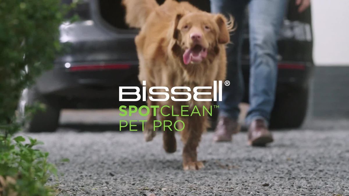 15588 - BISSELL SpotClean Pet Pro 15588 Carpet Cleaner - Titanium - Currys  Business
