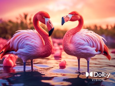 VIZIO 4K, Dolby Vision