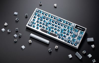 Hot-Swappable Switches*