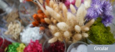 Beautiful natural bokeh