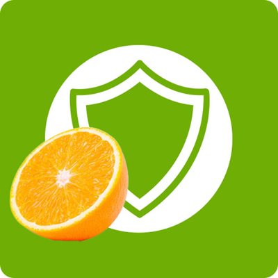 Half orange with shield in the background