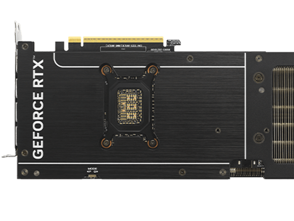 SCHÜTZENDE BACKPLATE