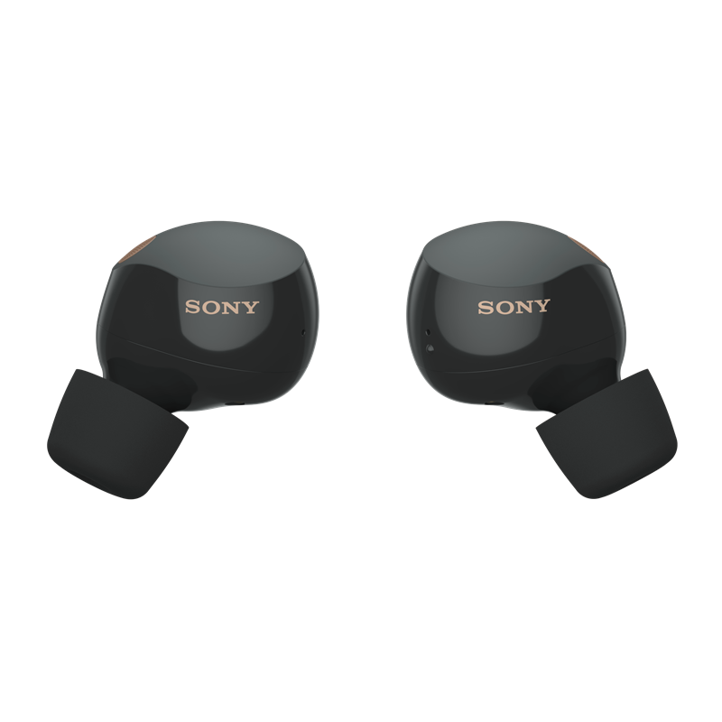 Buy Sony WF1000XM5 ANC In-Ear True Wireless Earbuds - Silver