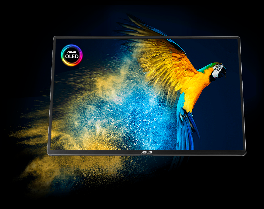 ZenScreen OLED MQ16FC with a visual of a parrot to showcase the display’s true-to-life color performance
