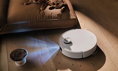 Select Pet-Friendly Cleaning Strategies