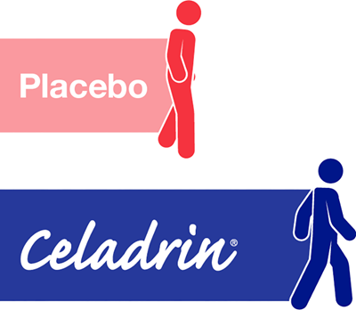 Results showed that participants taking Celadrin experienced improved joint flexibility and walking performance compared to the placebo group.†