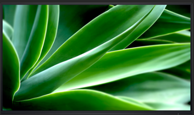 Environmentally forward thinking