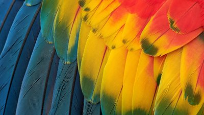 Lebendige Farben