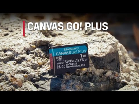 MicroSD Canvas Go! Plus Gen4