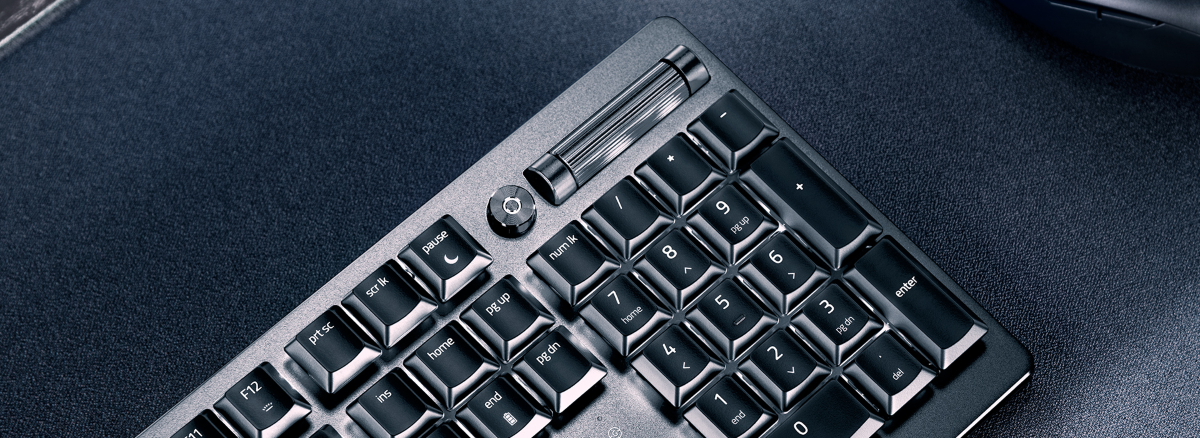 Multi-function Roller And Media Button