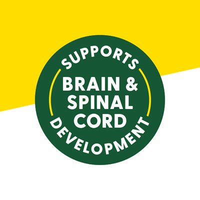 Supports Brain & Spinal Cord Development