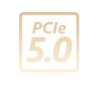 PcIe 5.0 logo