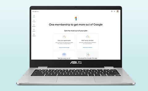 ASUS Chromebook C424, 14.0