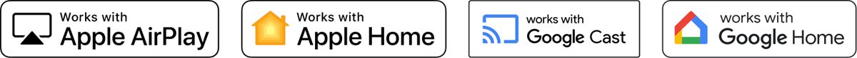 Works with Voice Assistances