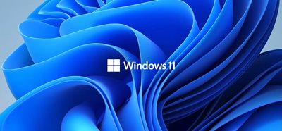 Windows 11