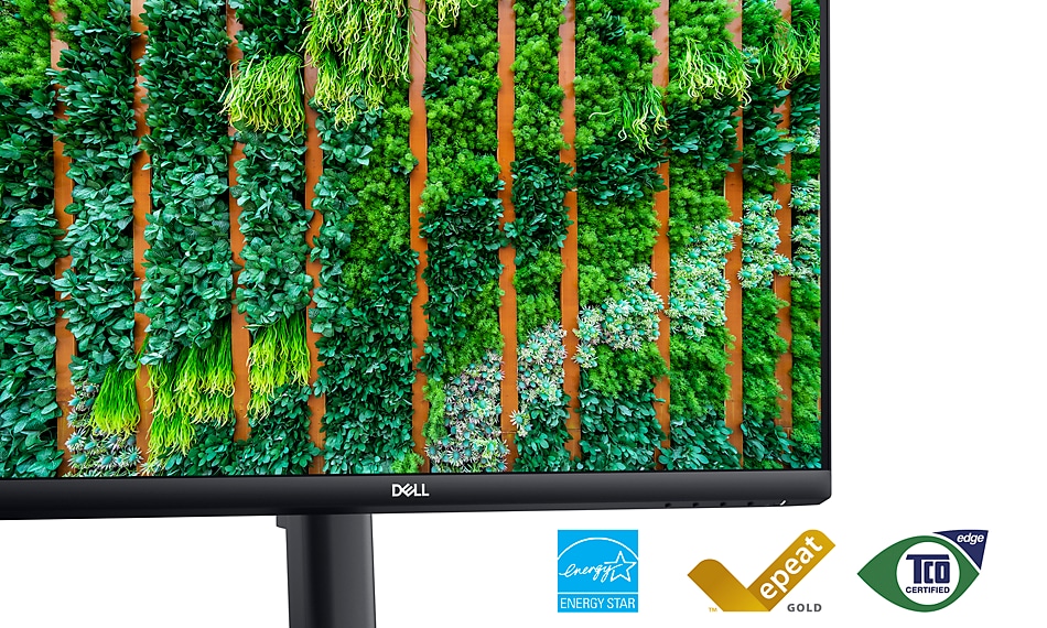 Écran Dell 24 pouces (E2423HN) : écrans d'ordinateur externes