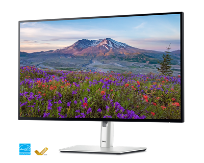 Grøn tænkning i dag og i morgen