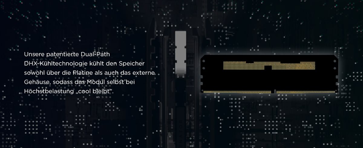Image des Produktes