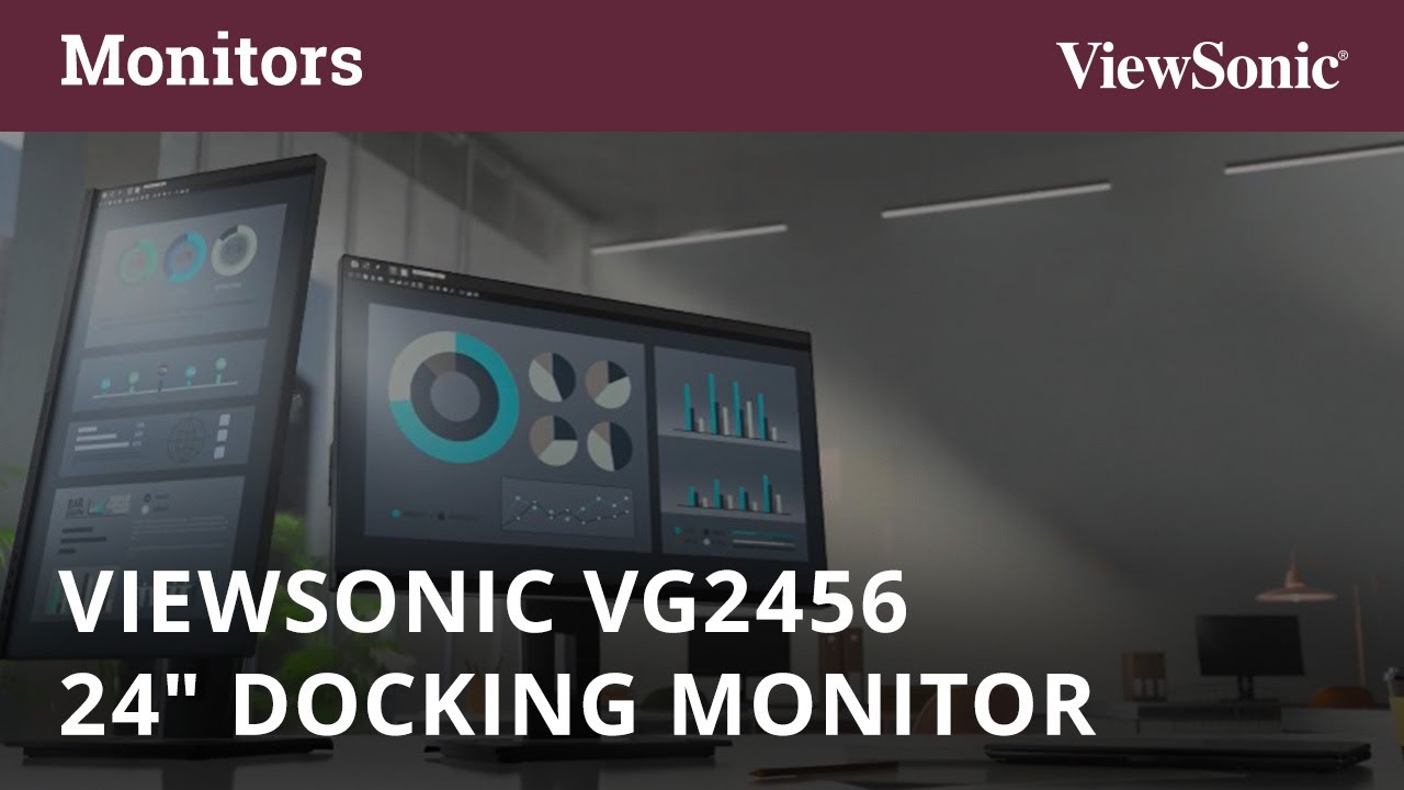 ViewSonic VG2456 - LED monitor - Full HD (1080p) - 24