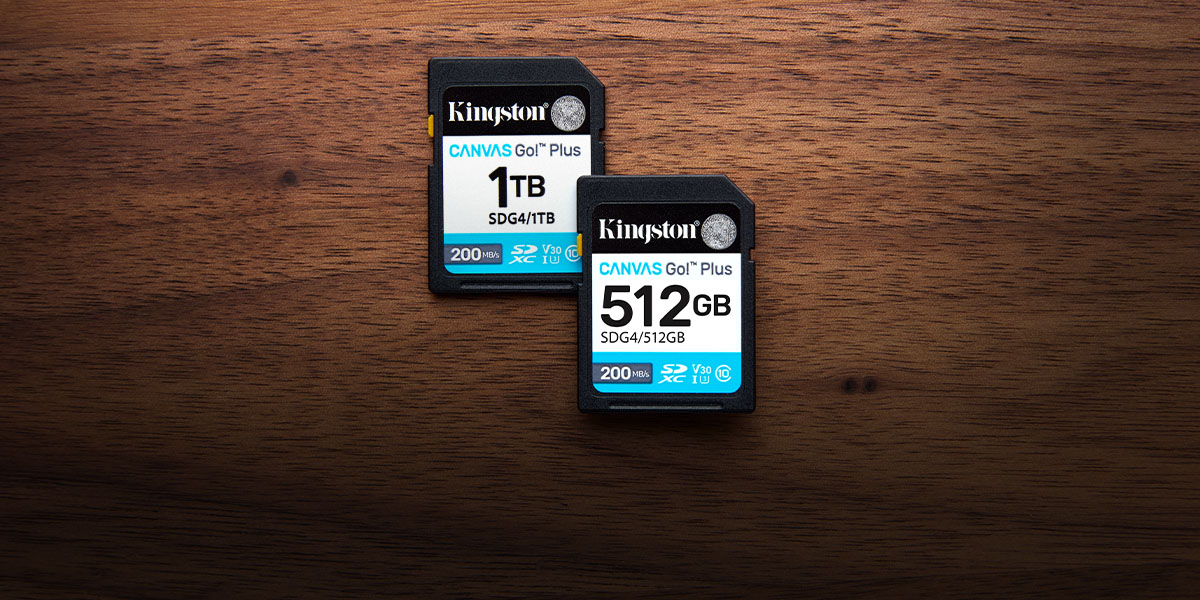 Kingston Canvas Go! Plus | Overview, Specs, Details | SHI 