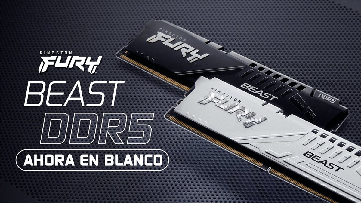 Kingston FURY™ Beast DDR5 -