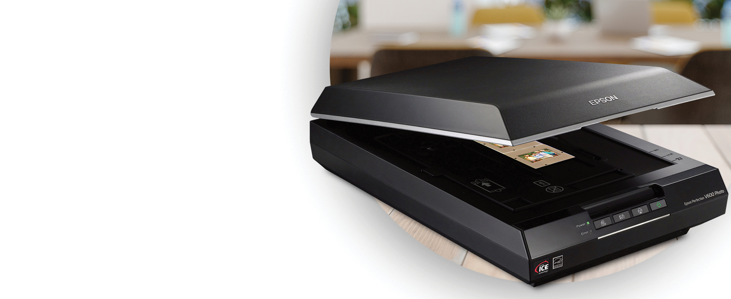 turtle Banyan Giving Epson Perfection V600 Colour Flatbed Scanner | staples.ca