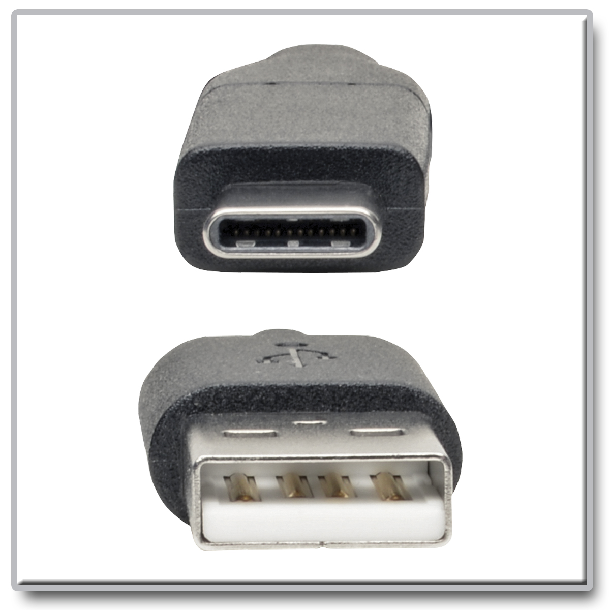 U038-C13 - Tripp Lite U038-c13 Usb-a To Usb-c Cable (m/m), Usb-if