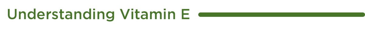 Tìm hiểu về Vitamin E