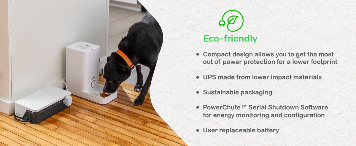 APC Back-UPS BE Series BE900G3 with a dog feeding machine at home