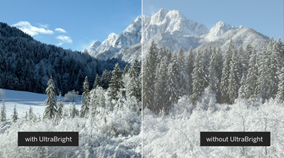 Bright picture, more details.