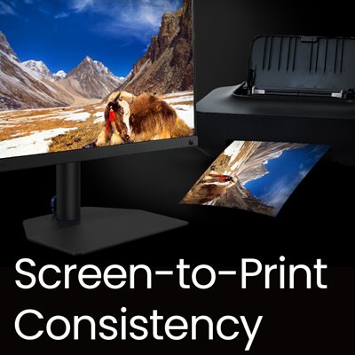 BenQ Paper Color Sync