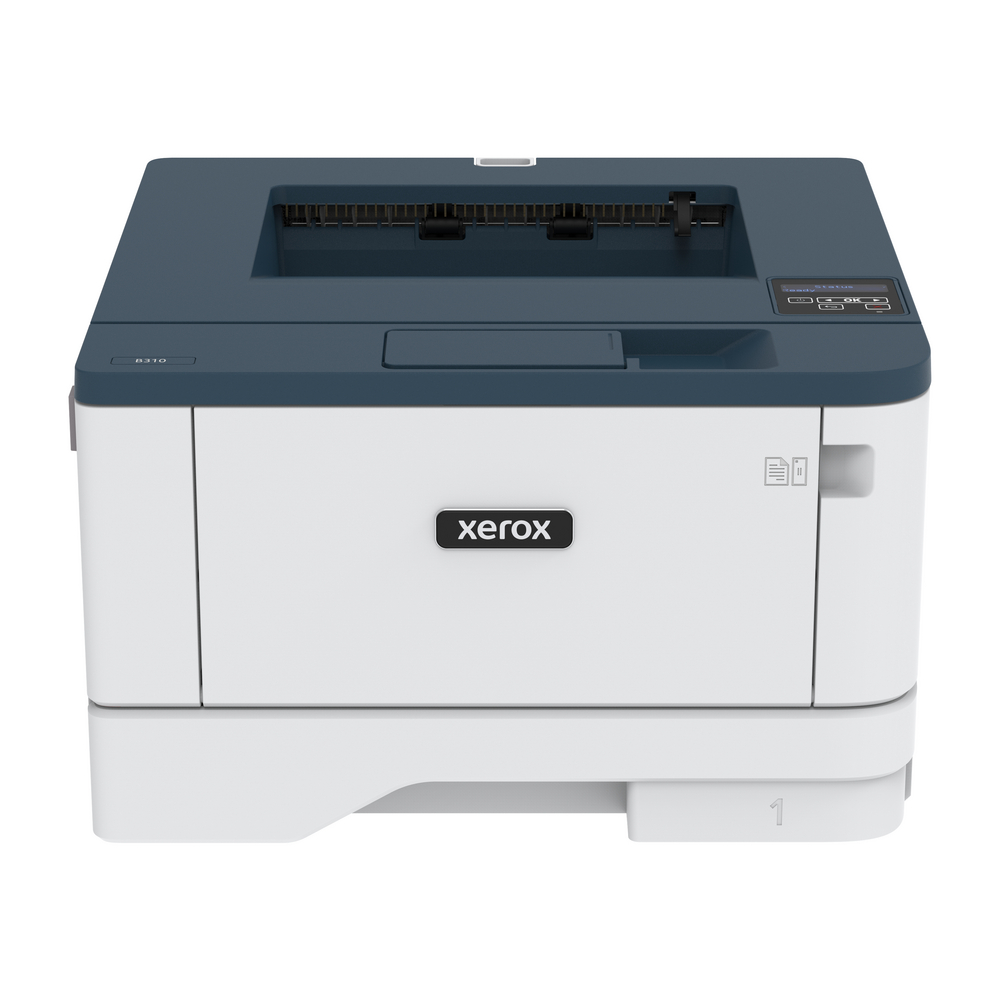 B310